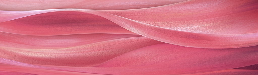 enfoque ecobiológico de Bioderma, inspirado en la biología de la piel para mantener su equilibrio y defensa natural.