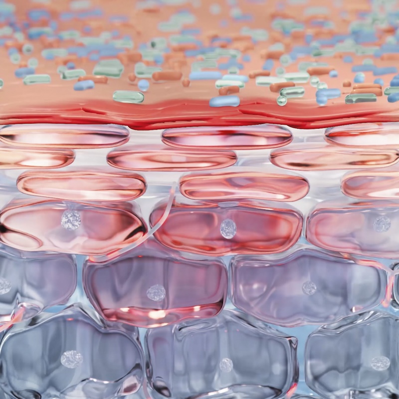 Micelas y su estructura biomimética