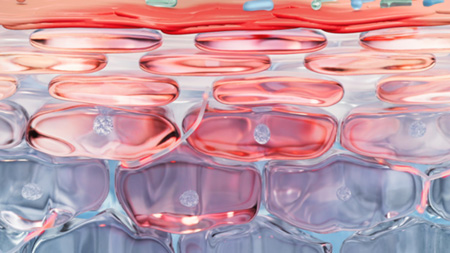 Imagen Tecnología Patentada* Rosactiv 2.0