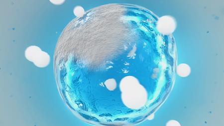 detox science foto